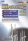 Epoch Deep Evolution Series Catalog